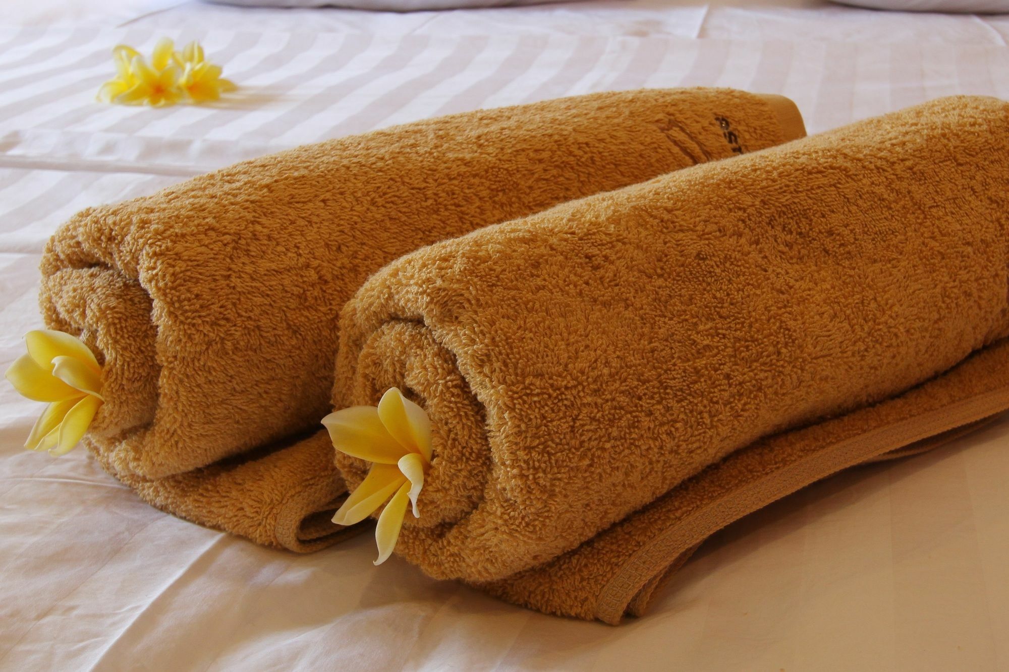 Saren Guest House Canggu Exterior photo